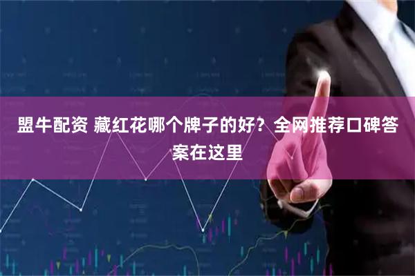 盟牛配资 藏红花哪个牌子的好？全网推荐口碑答案在这里