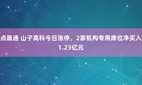 点赢通 山子高科今日涨停，2家机构专用席位净买入1.23亿元