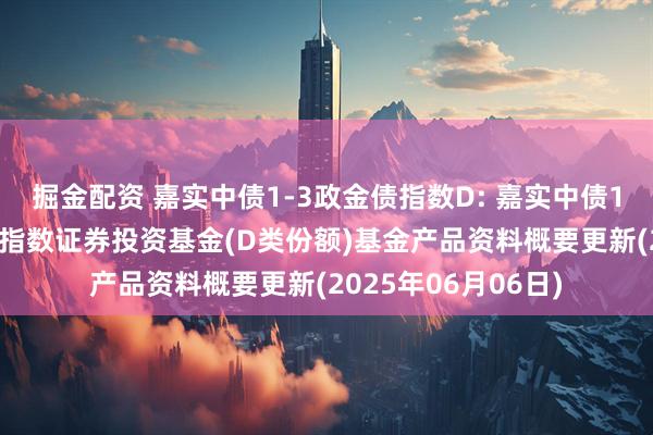 掘金配资 嘉实中债1-3政金债指数D: 嘉实中债1-3年政策性金融债指数证券投资基金(D类份额)基金产品资料概要更新(2025年06月06日)