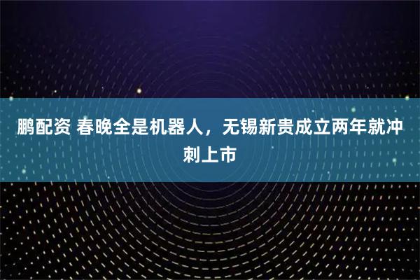 鹏配资 春晚全是机器人，无锡新贵成立两年就冲刺上市