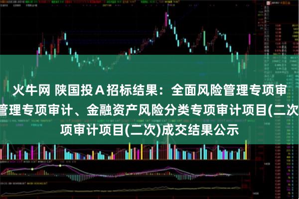 火牛网 陕国投Ａ招标结果：全面风险管理专项审计、操作风险管理专项审计、金融资产风险分类专项审计项目(二次)成交结果公示